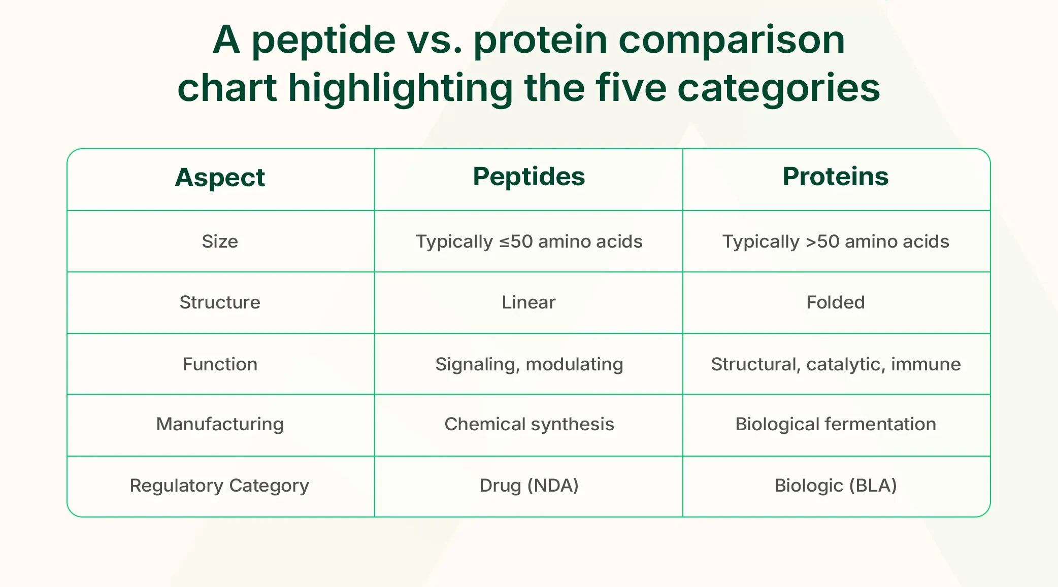 the key differences between peptides and proteins and how each functions in biological systems.